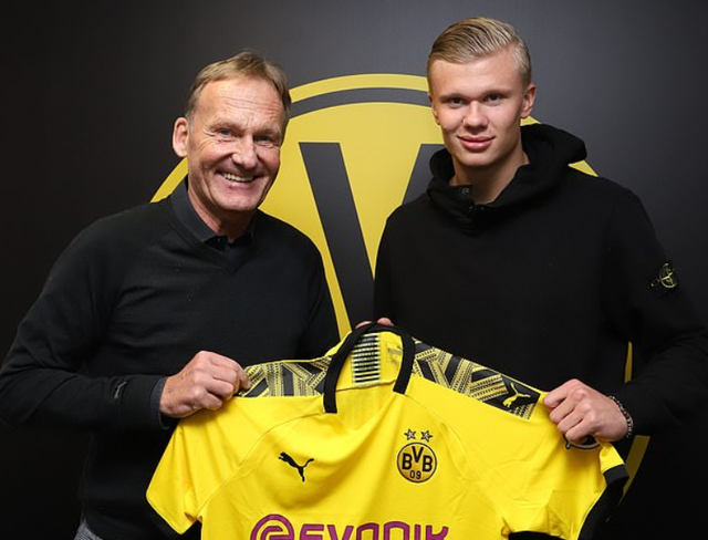 中国足坛2025赛季大结局：海港中超夺冠，国安收获足协杯（2025中国足坛收官：上海海港问鼎中超，北京国安捧得足协杯）